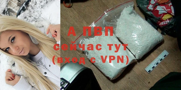 метадон Богданович