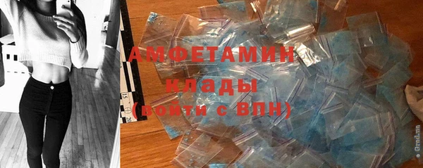 метадон Богданович