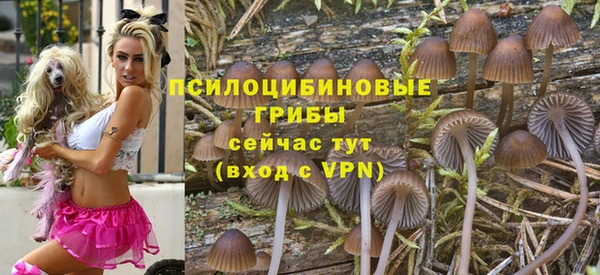 метадон Богданович