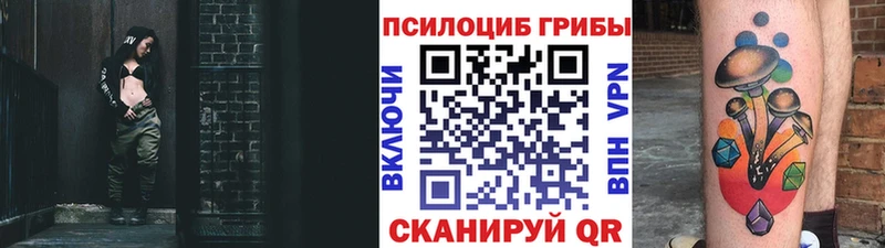 Псилоцибиновые грибы MAGIC MUSHROOMS  Купить  Ясногорск 